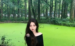 狂飙电视剧国产全集免费播放